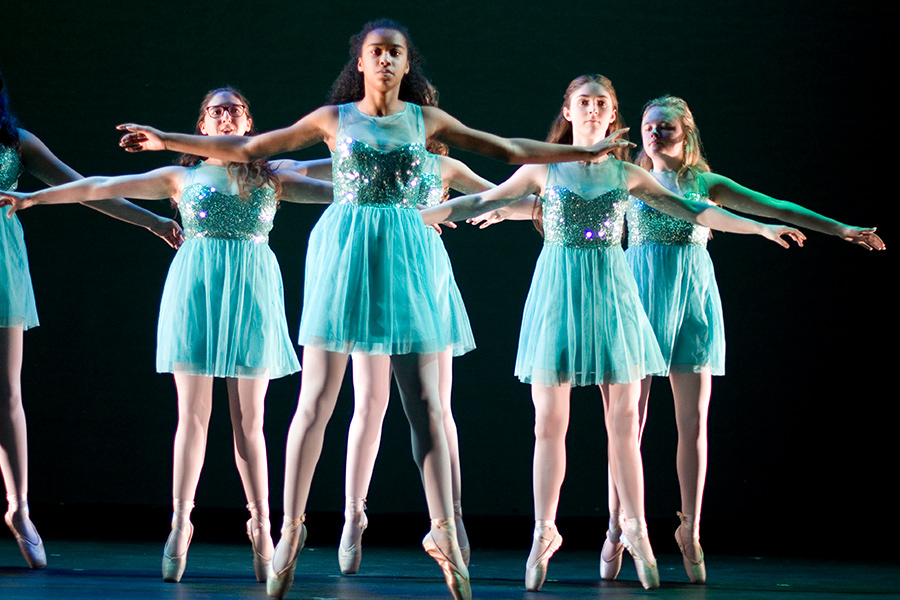 Intro/Beginner Pointe